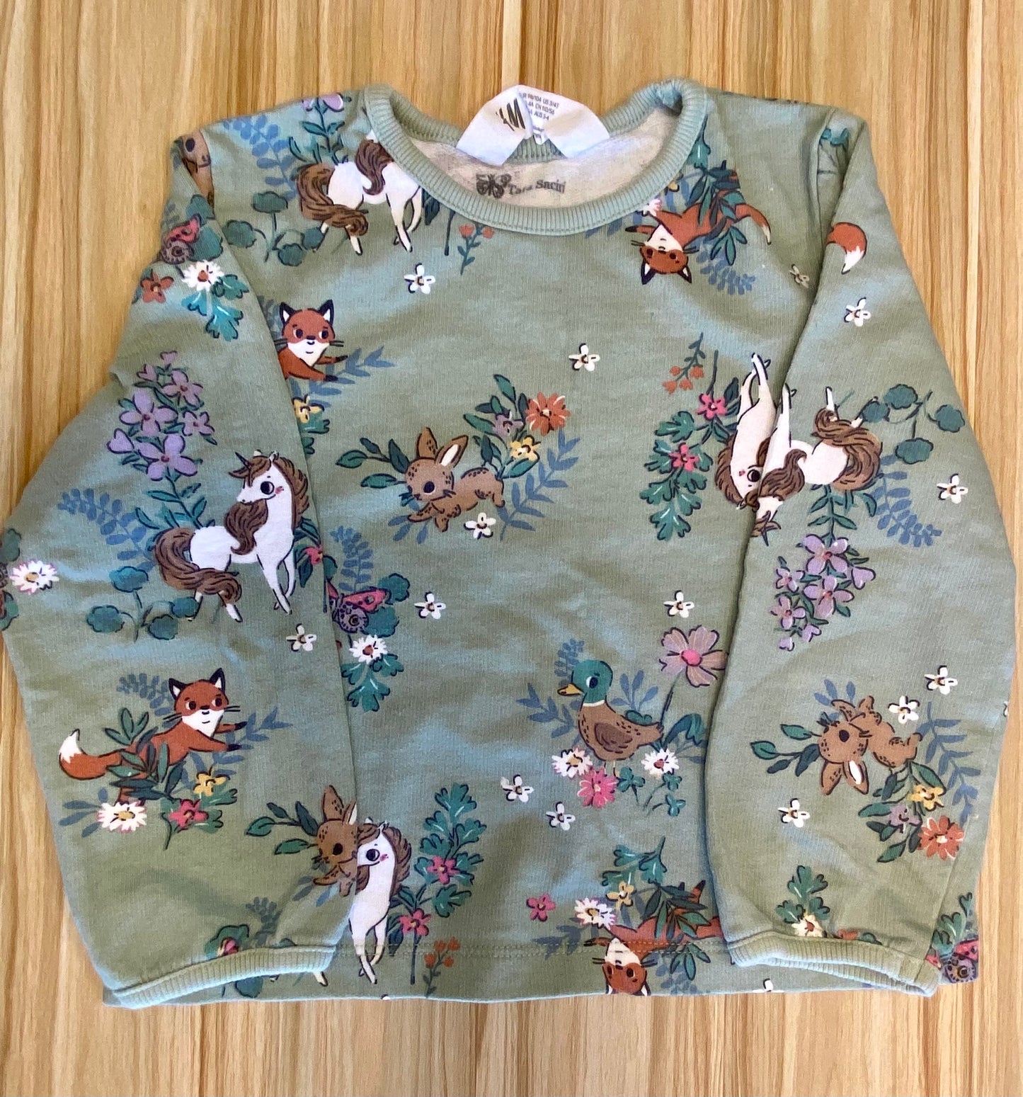 H&M Sweatshirt LS / 3-4Y