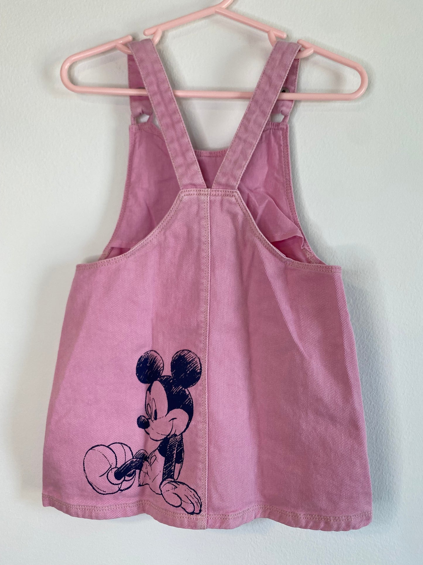 ZARA skirt overall / 2-3Y