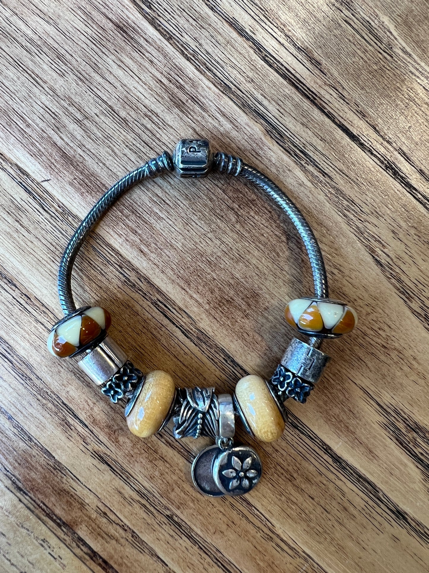 PANDORA 10 charm bracelet