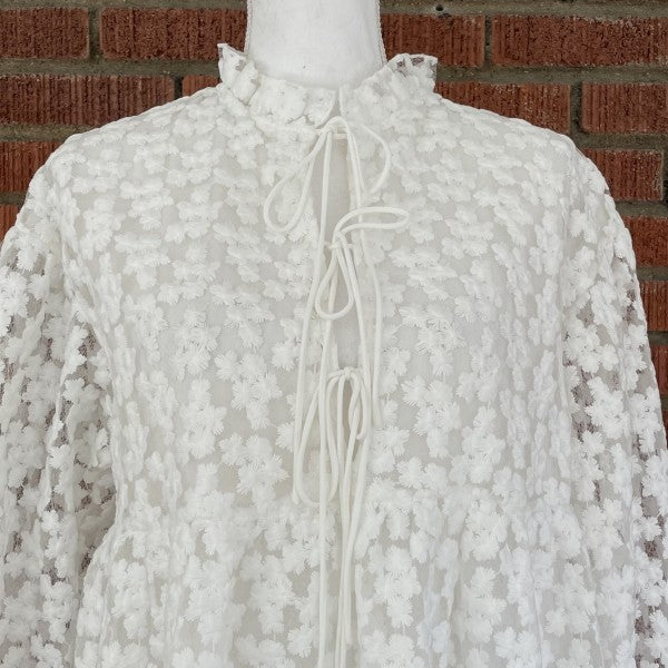 ZARA Oversized Mini Dress or Tunic With Lots of Embroideries LS / Small