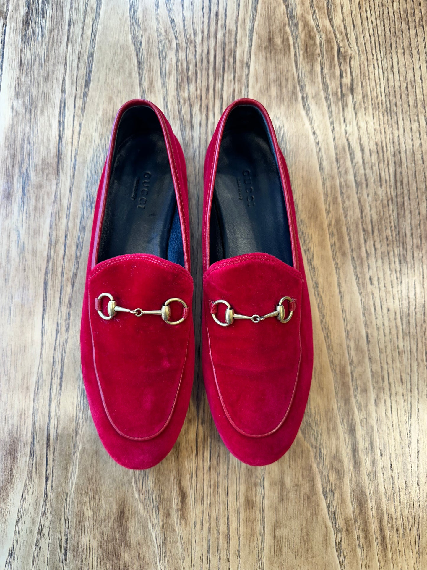 GUCCI velvet horsebit loafers / US8-EU38.5