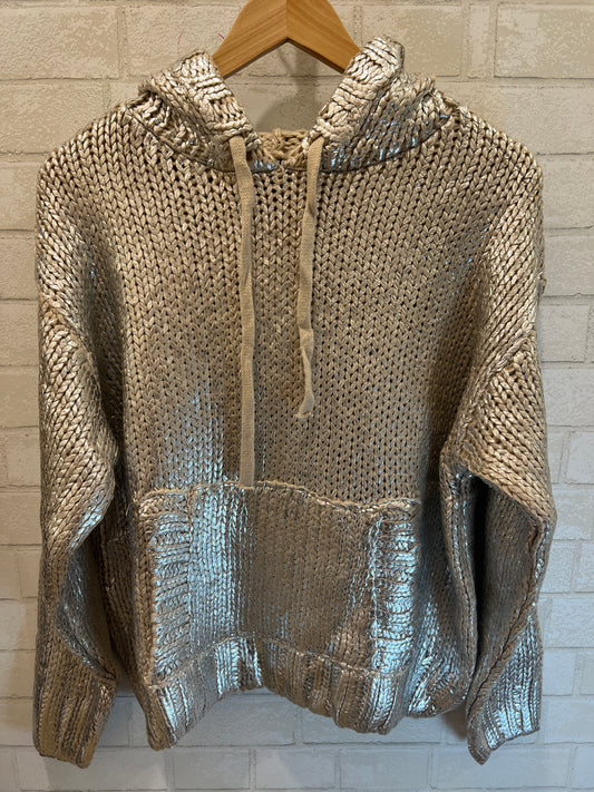 ZARA silver hoodie NWT/ S