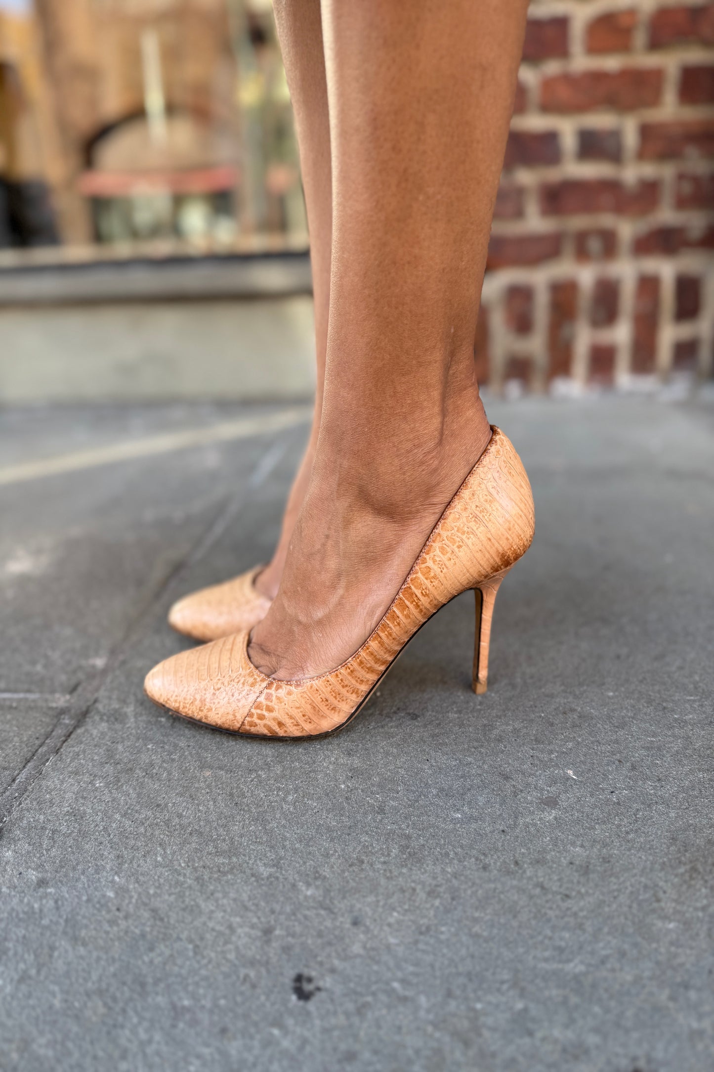 JIMMY CHOO Snakeskin Pumps / US8-EU38.5