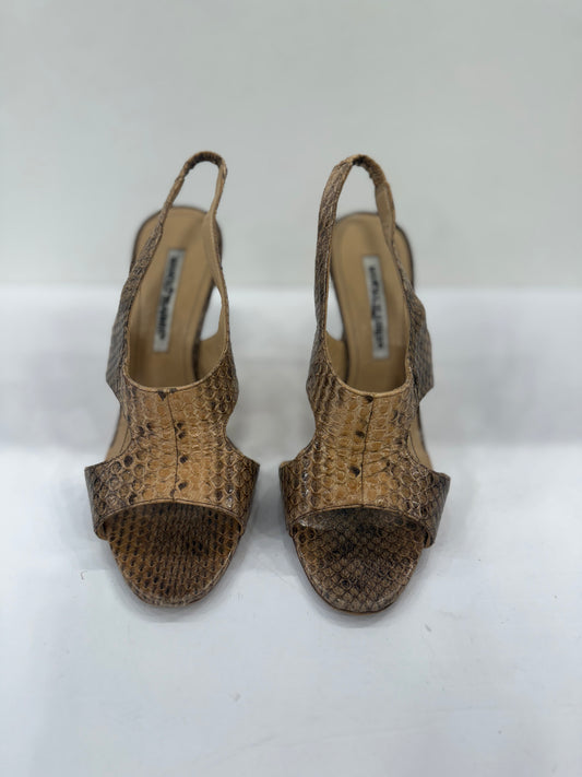 MANOLO BLAHNIK Snakeskin Sandals /US7
