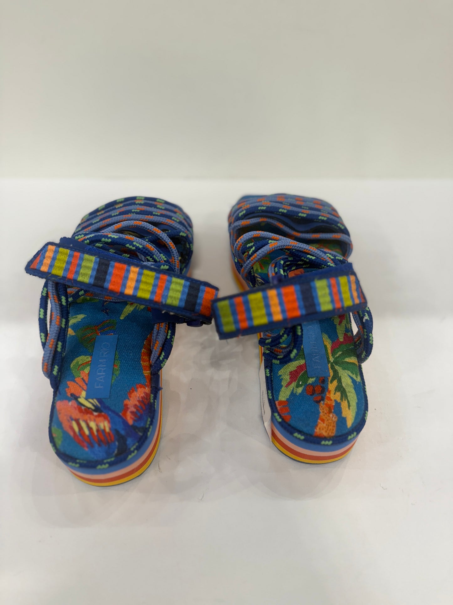 FARM RIO Blue Macaw Platform Sandals / US8