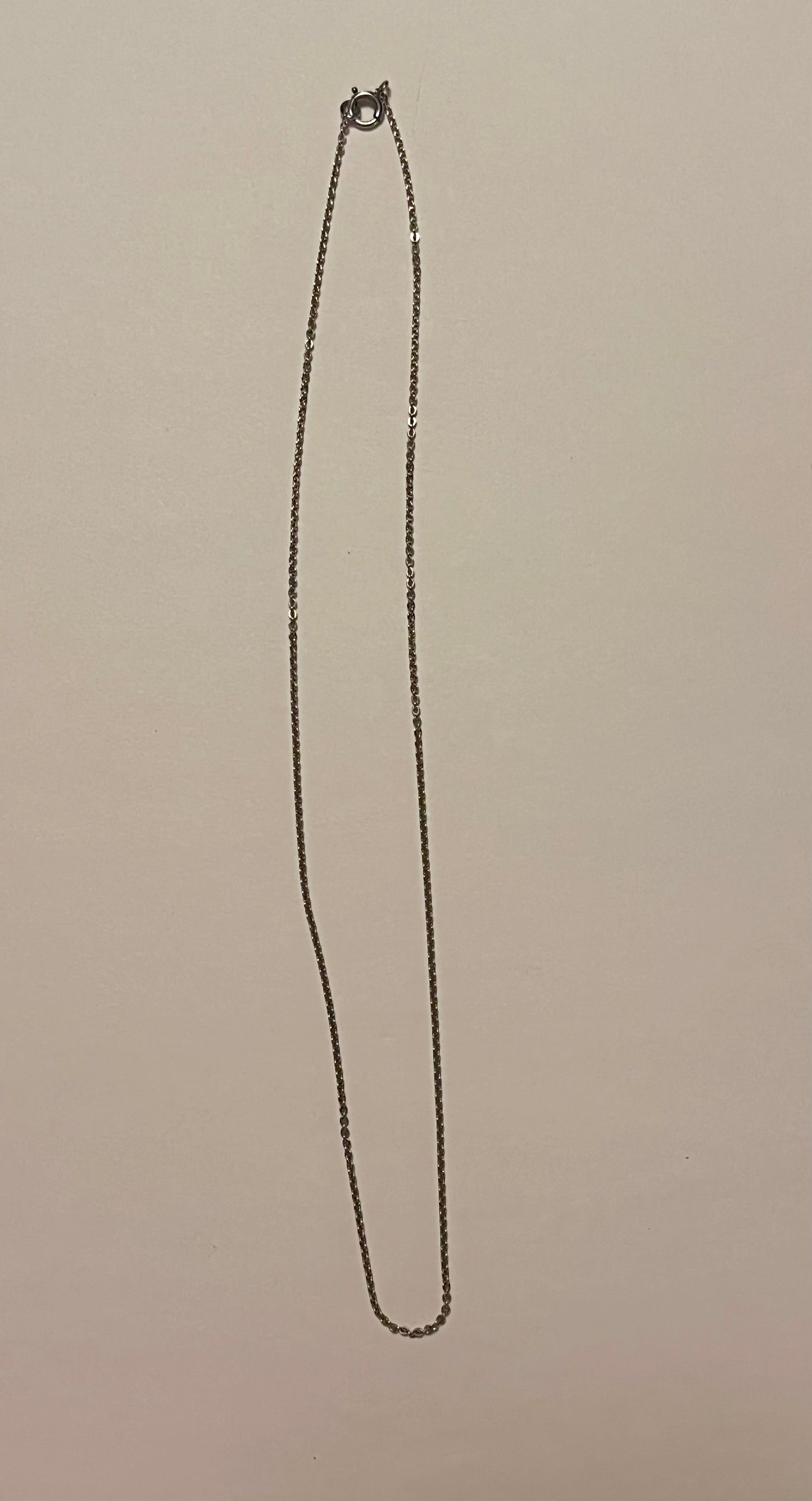 NO BRAND Silver Chain Short Necklace