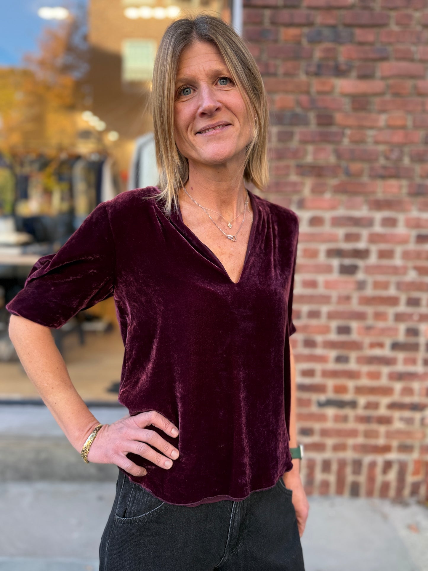 JOIE Velvet SS VNeck Top/S