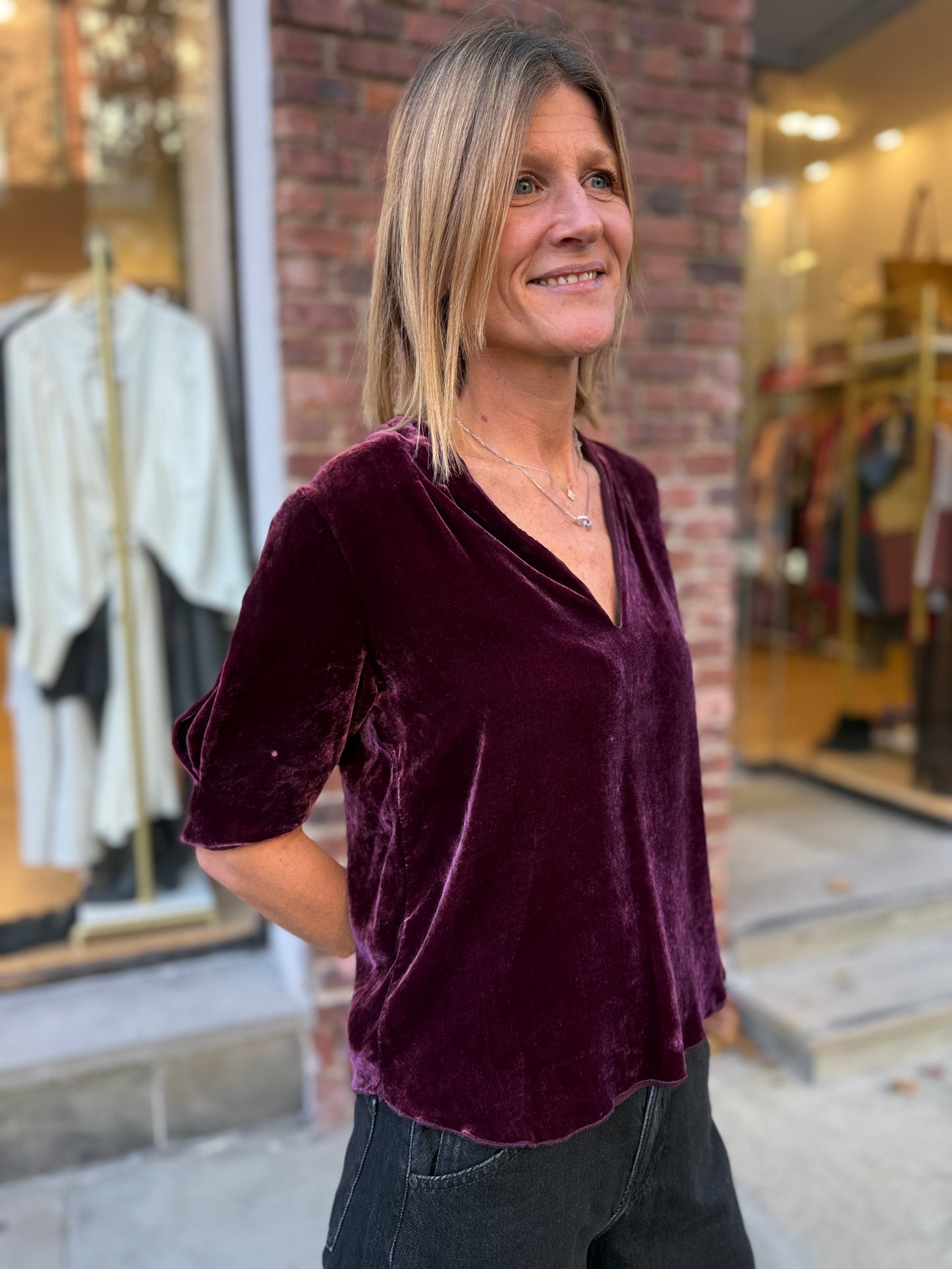 JOIE Velvet SS VNeck Top/S