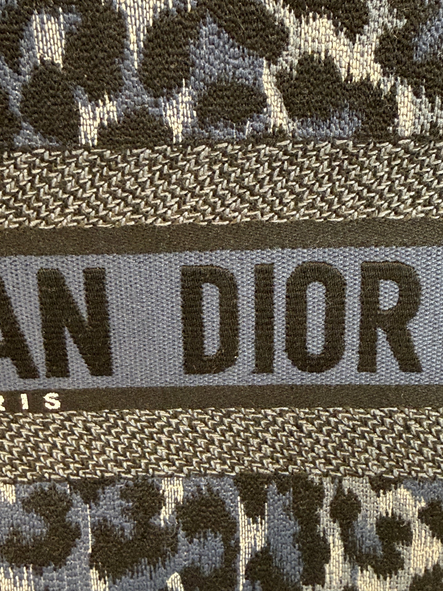 DIOR Book Tote Medium in Blue Mizza Leopard Embroidery — Authentic Pre-Owned | Maria Grazia Chiuri
