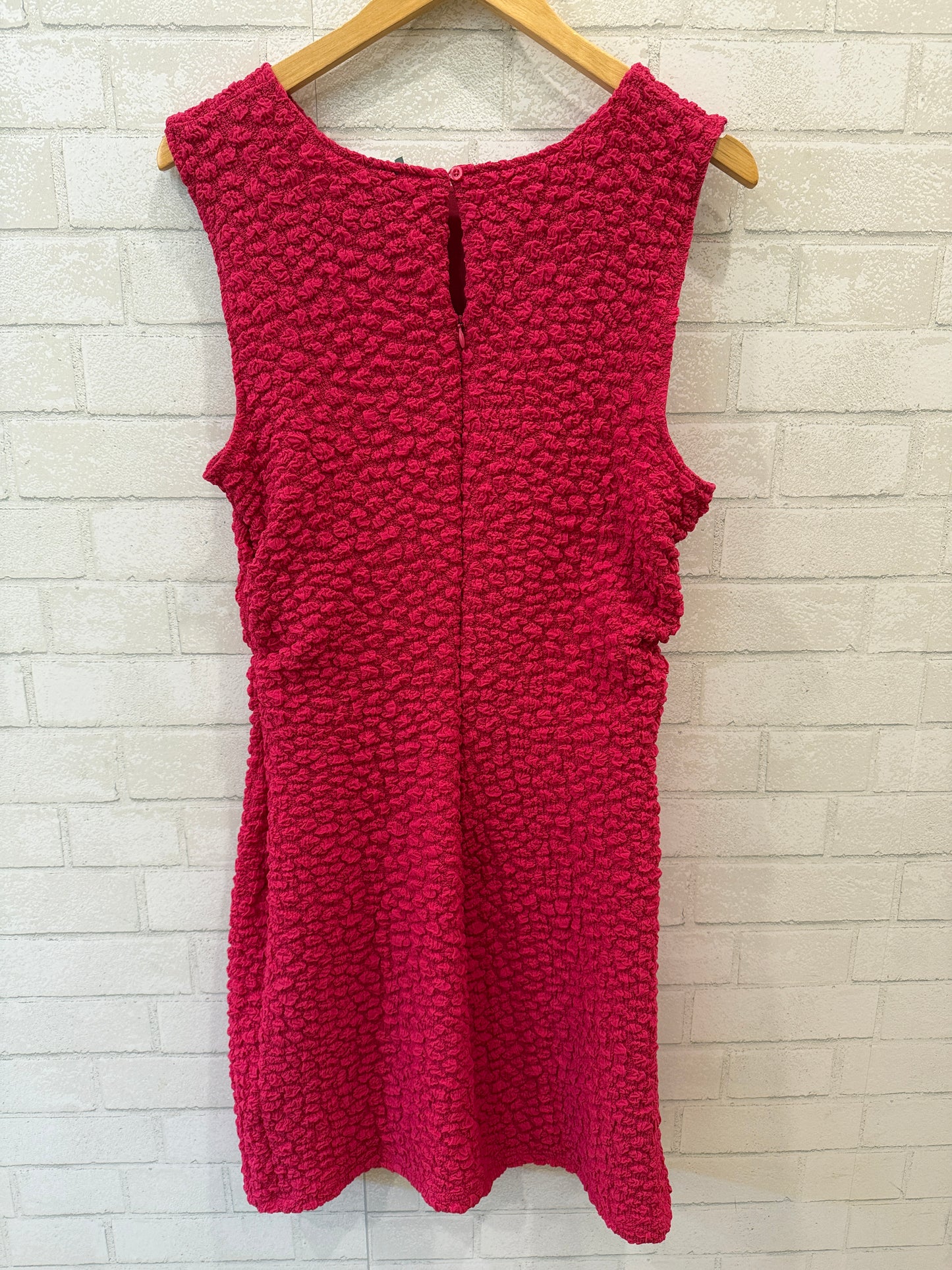 ANTHROPOLOGIE NWT Sleeveless Mini A Line Dress/L