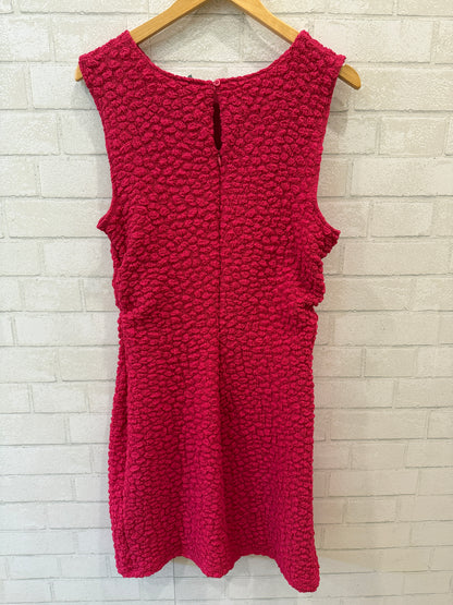 ANTHROPOLOGIE NWT Sleeveless Mini A Line Dress/L