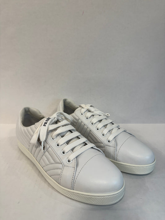 PRADA NWT Leather Sneakers/US9-EU40