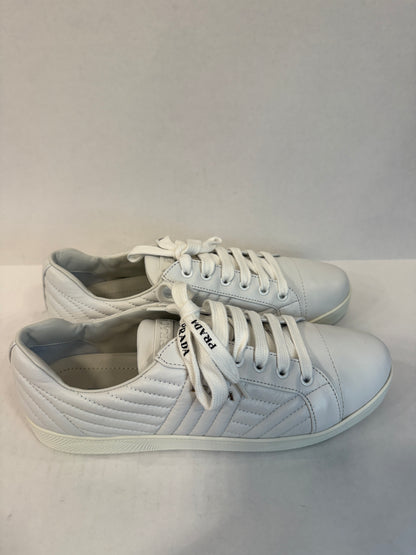 PRADA NWT Leather Sneakers/US9-EU40