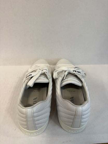 PRADA NWT Leather Sneakers/US9-EU40
