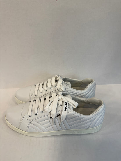 PRADA NWT Leather Sneakers/US9-EU40