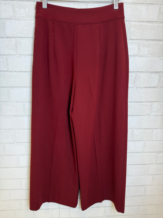 ZARA Large Suit Pant/ US S-EU 36