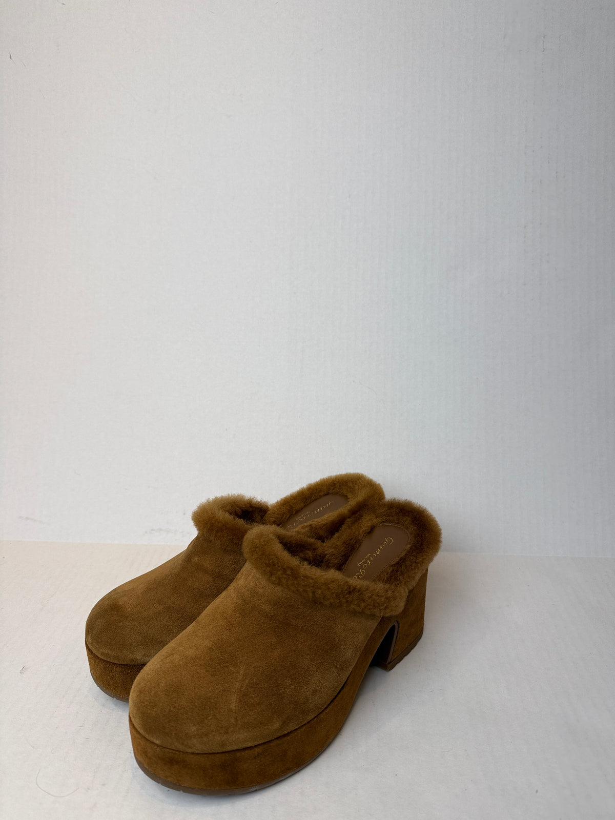 GIANVITO ROSSI Lyss Suede Platform Clogs / US5-EU36